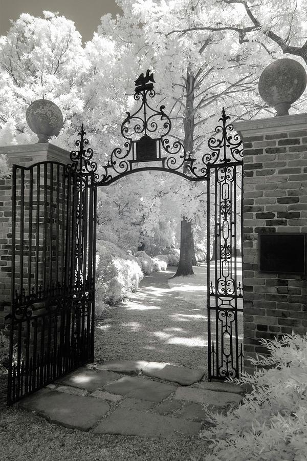 Gate to Westover Plantation Infrared Photograph by Liza Eckardt