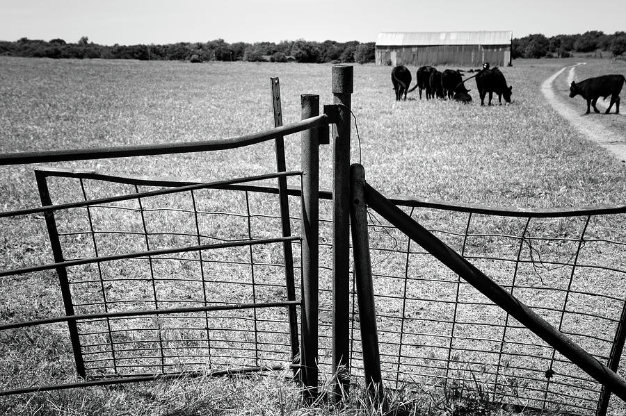 Gated Community Country Style Photograph by Ann Powell