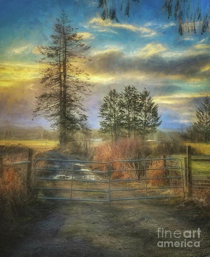 Gated Farmland Painting by Sue Harper