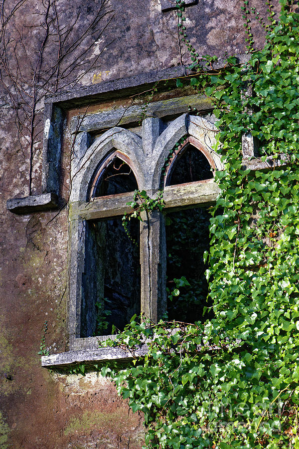 Gatehouse Window Photograph by Catherine Sullivan