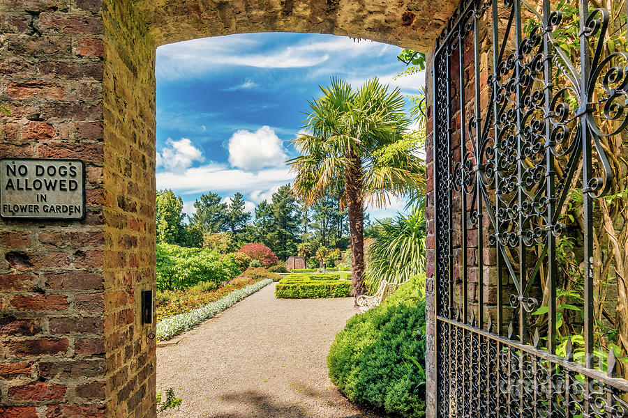 Gateway To Beautiful Garden Photograph by Adrian Evans