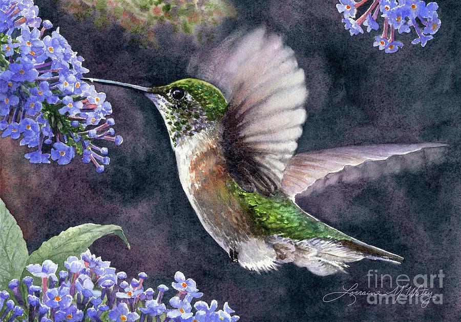 Hummingbird Painting - Gathering Nectar by Lorraine Watry
