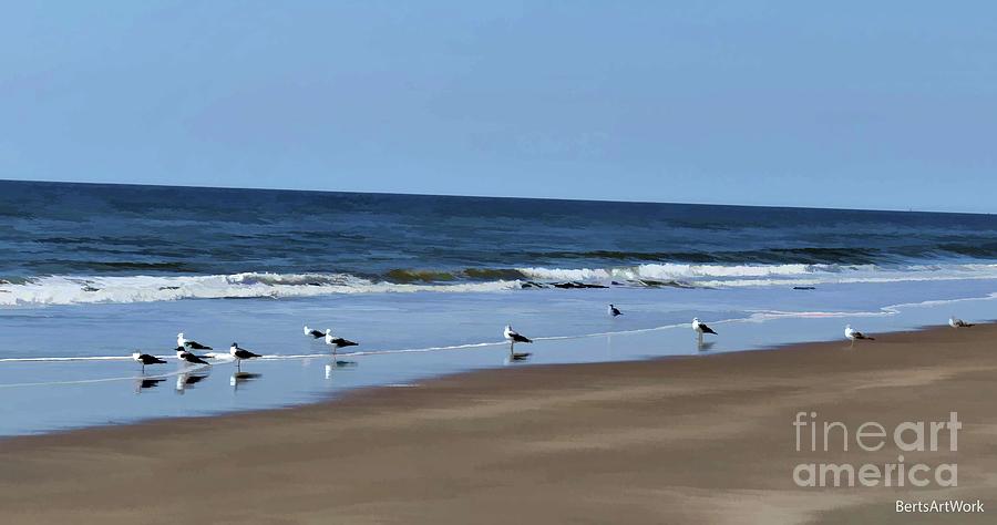 Gathering of the Sea Gulls Photograph by Roberta Byram