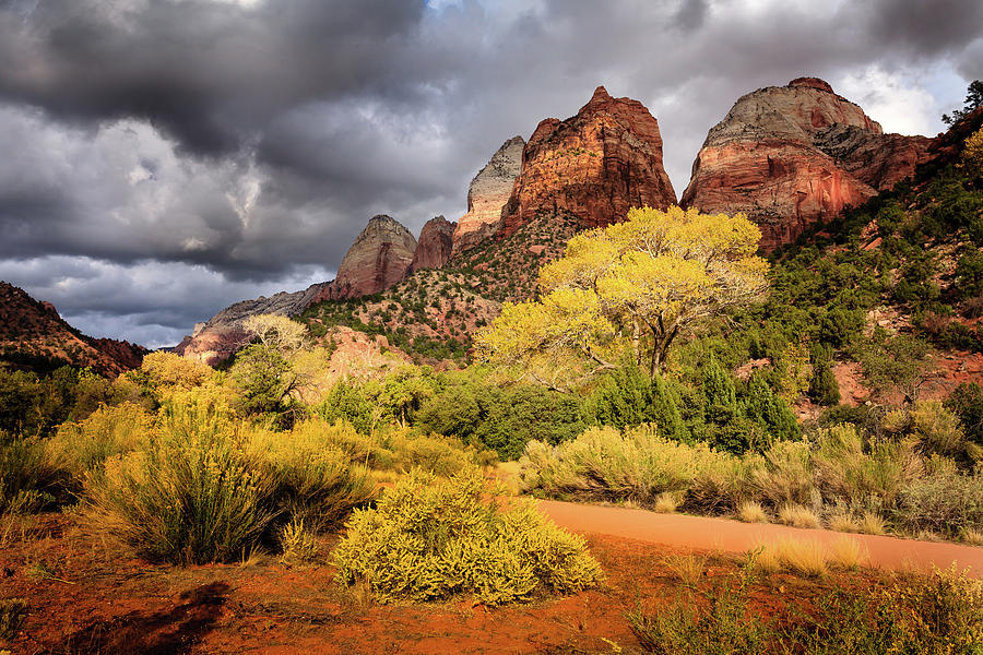 Zion National Park Photograph - Gathering Storm over The Watchman by Peter OReilly