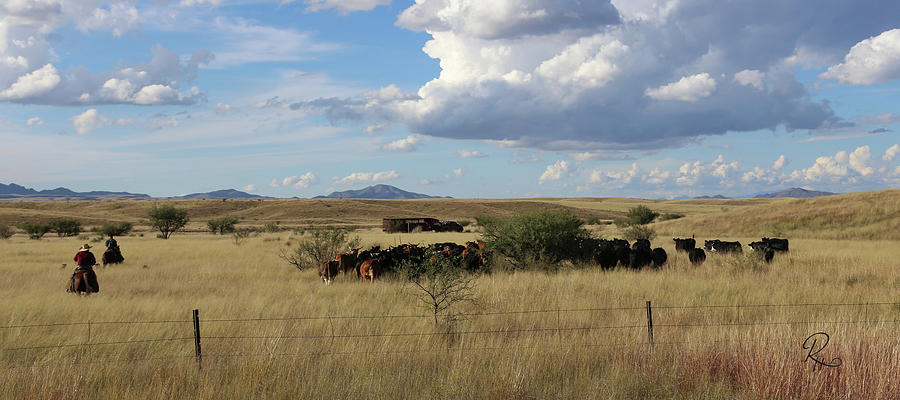 Gathering the Herd II Photograph by Robert Harris