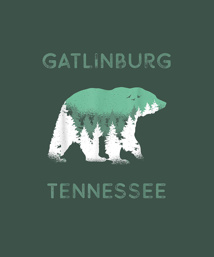 Gatlinburg Tennessee Great Smoky Mountains Black Bear Drawing by Alicia