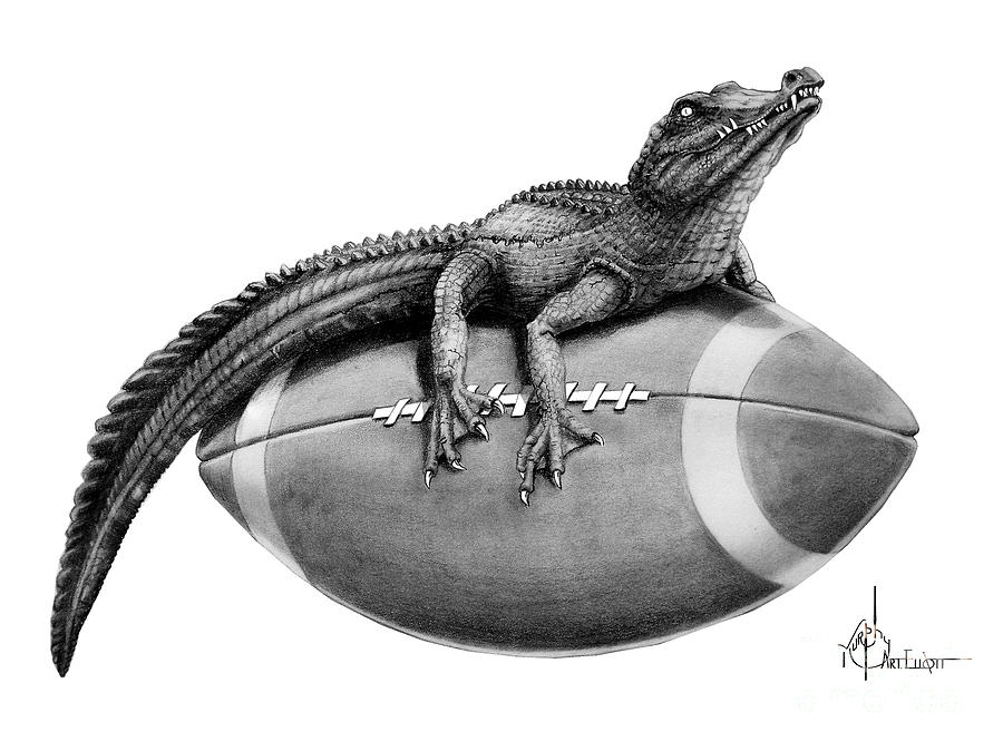 Gator Football drawing Drawing by Murphy Elliott