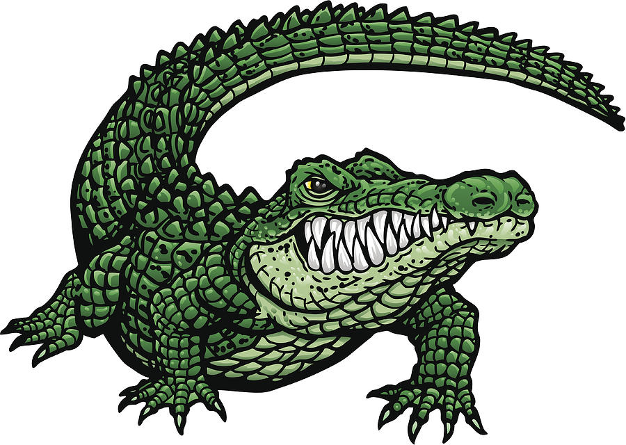 Gator G Drawing by XonkArts