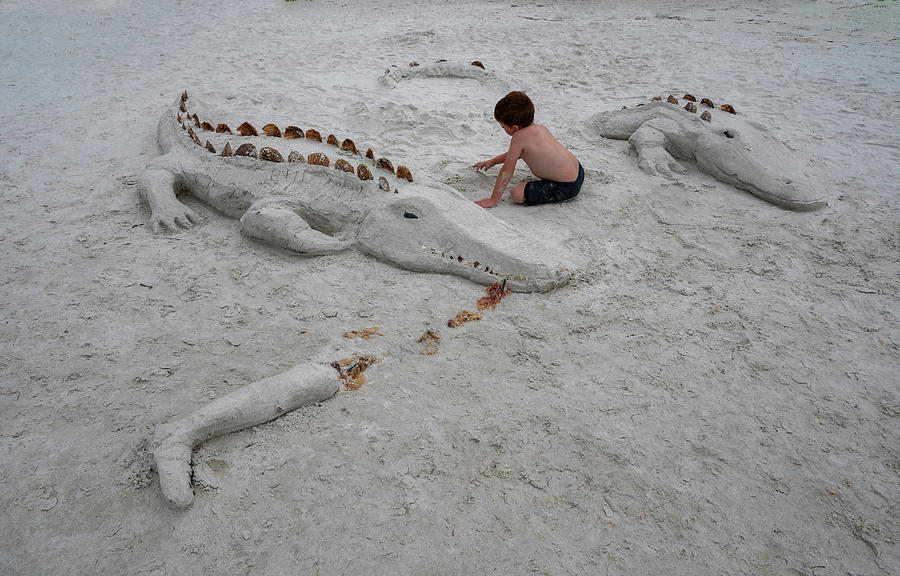 Gator on the sand Photograph by Carolyn DAlessandro