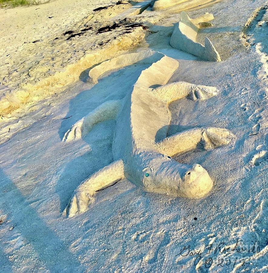 Gator Sand Sculpture Photograph by Gary F Richards