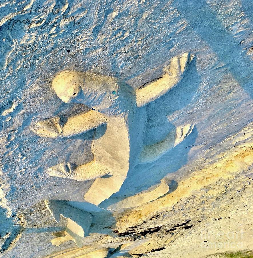 Gator Sand Sculpture Inverted Photograph by Gary F Richards