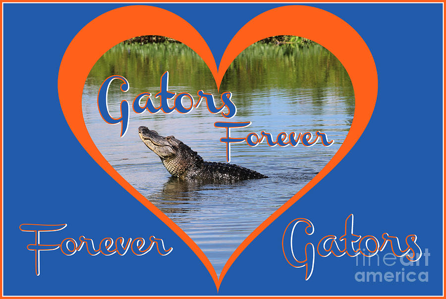 Gators Forever Photograph