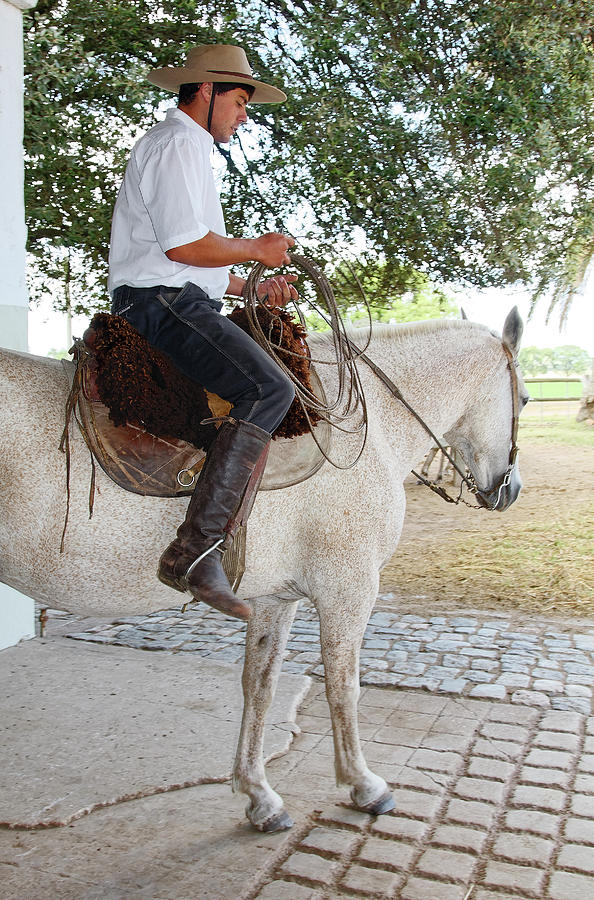 Gaucho Riding Horse Photograph by Sally Weigand