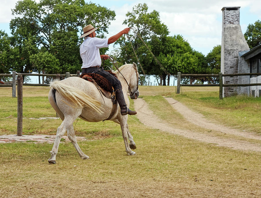 Gaucho Throwing Lasso Photograph by Sally Weigand - Pixels