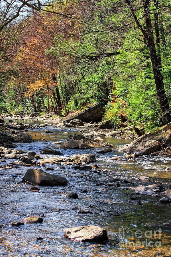 Landscape Photograph - Gauley River Headwaters by Rosanna Life