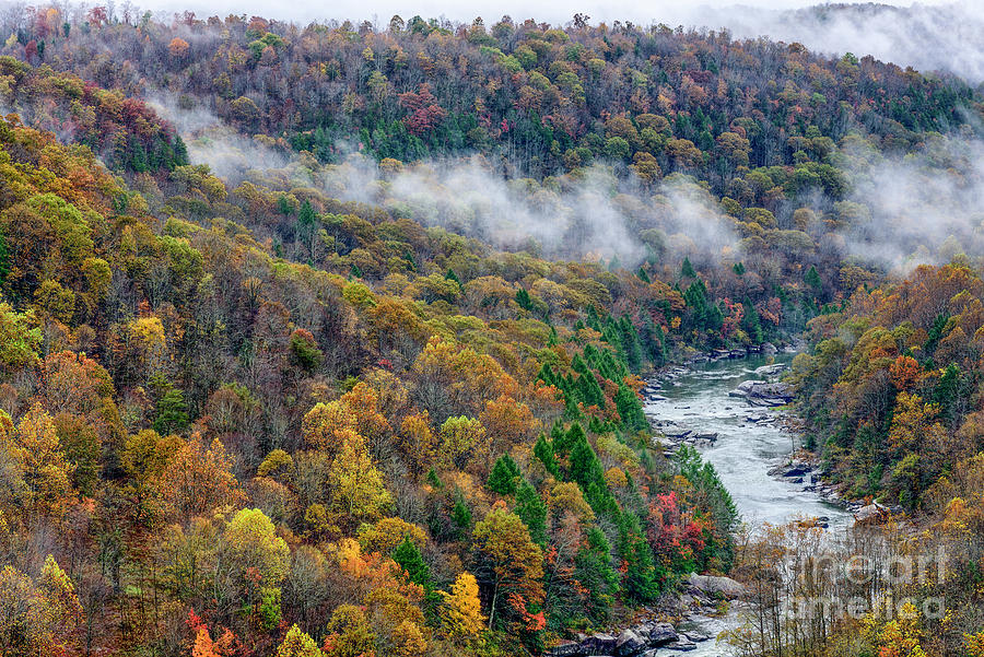 Gauley River in an Autumn Rain Photograph by Thomas R Fletcher