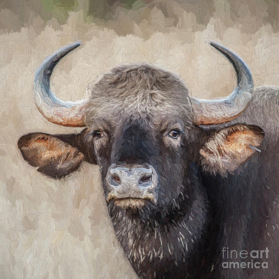 Bison Digital Art - Gaur portrait Indian Bison by Liz Leyden