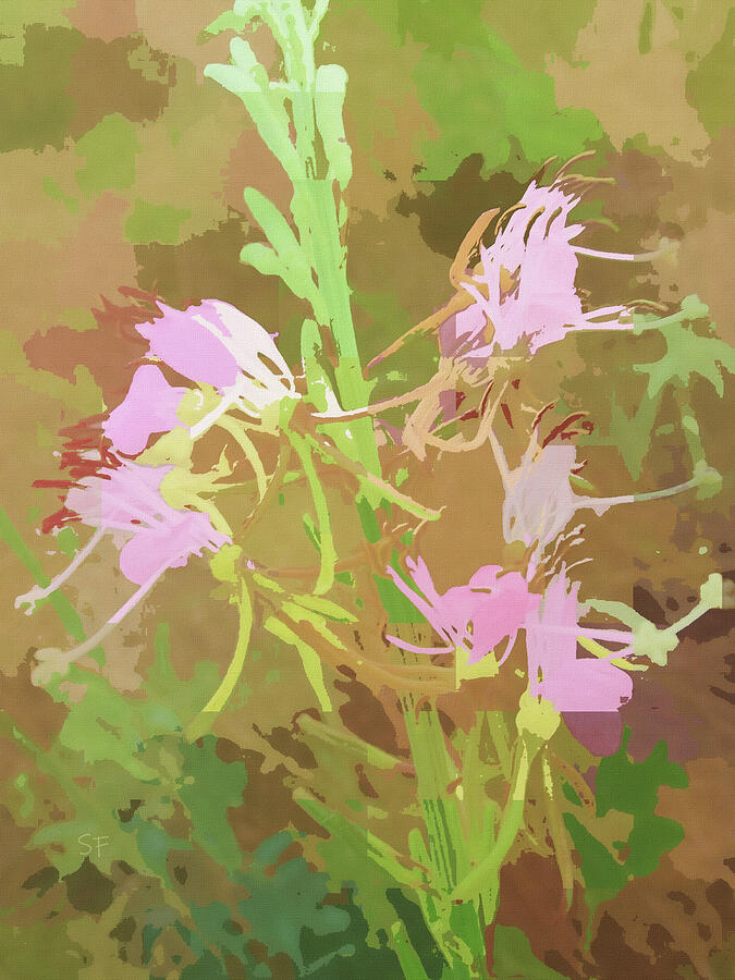 Gaura Wandflower Botanical Abstract Mixed Media by Shelli Fitzpatrick