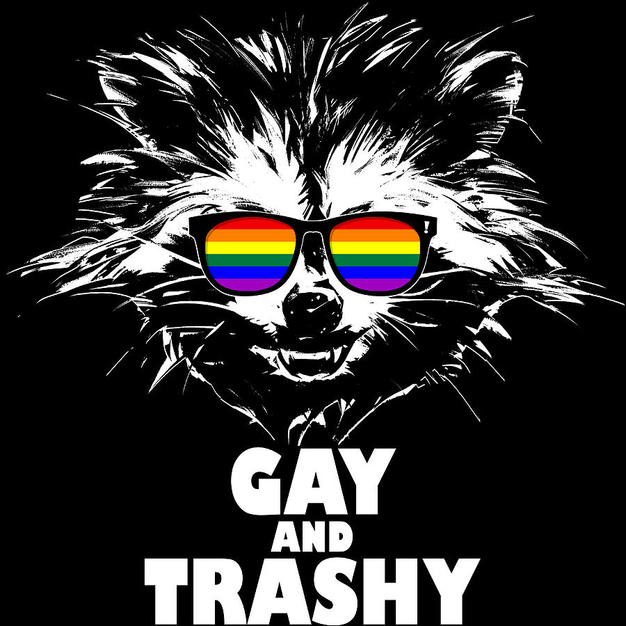 Go Gays! - Funny Raccoon Pride Meme - Gay - Posters and Art Prints