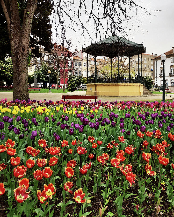 Gazebo And Tulip Garden Of Porto Portugal Red Yellow And Purple Tulips Digital Art by Irina Sztukowski