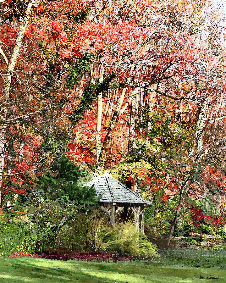 Gazebo in Autumn Garden Photograph by Susan Savad