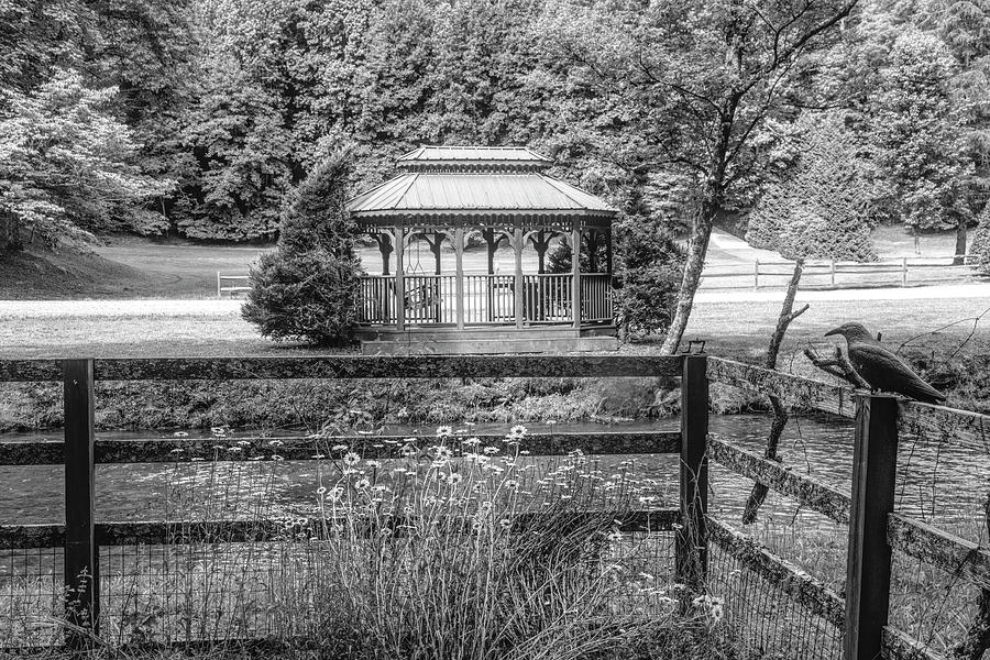 Gazebo on the Mountain Stream Black and White Photograph by Debra and Dave Vanderlaan