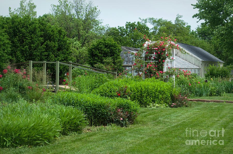 Gazing Into the Garden Photograph by Luther Fine Art