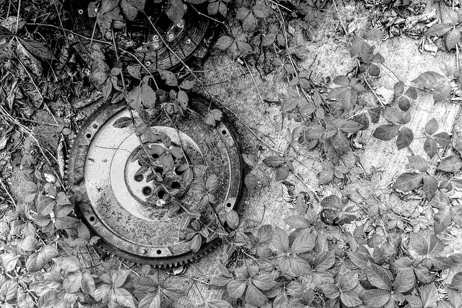 Gear and Weeds Black and White Photograph by Sharon Popek