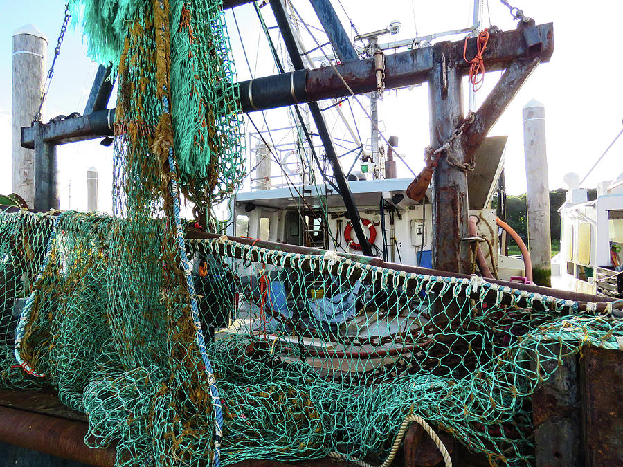 Gearing Up Photograph By Dianne Cowen Cape Cod And Ocean Photography Pixels 