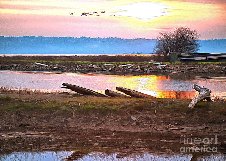 Geese at Sunset at Fir Island Farms Photograph by Sea Change Vibes