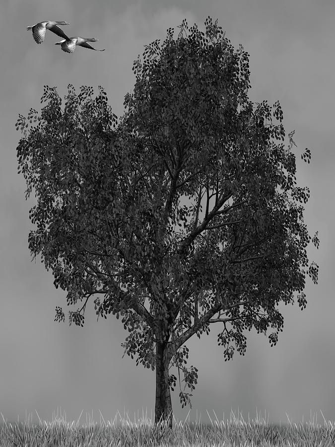 Geese flying over a tree Black and White Mixed Media by David Dehner