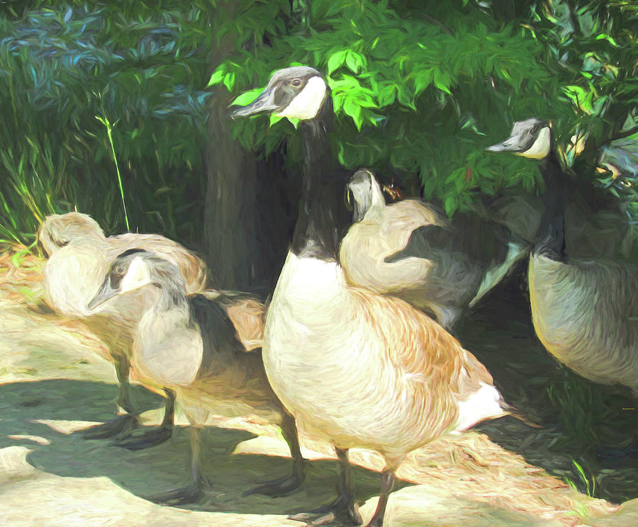Geese in Cezanne Photograph by Roberta Byram