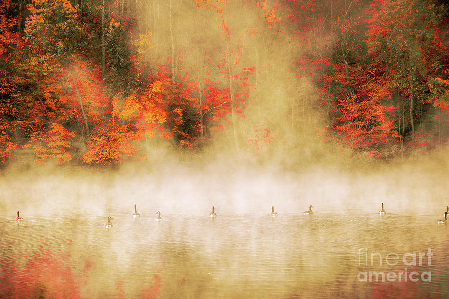 Geese in Fog Fall Fire Two Digital Art by Randy Steele