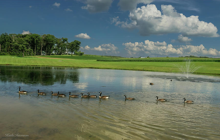 Geese in Formation Photograph by Kathi Isserman
