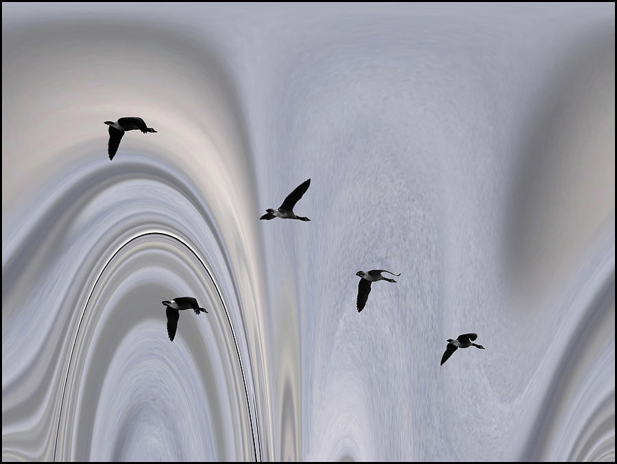 Geese in the Jet Stream Photograph by Wayne King