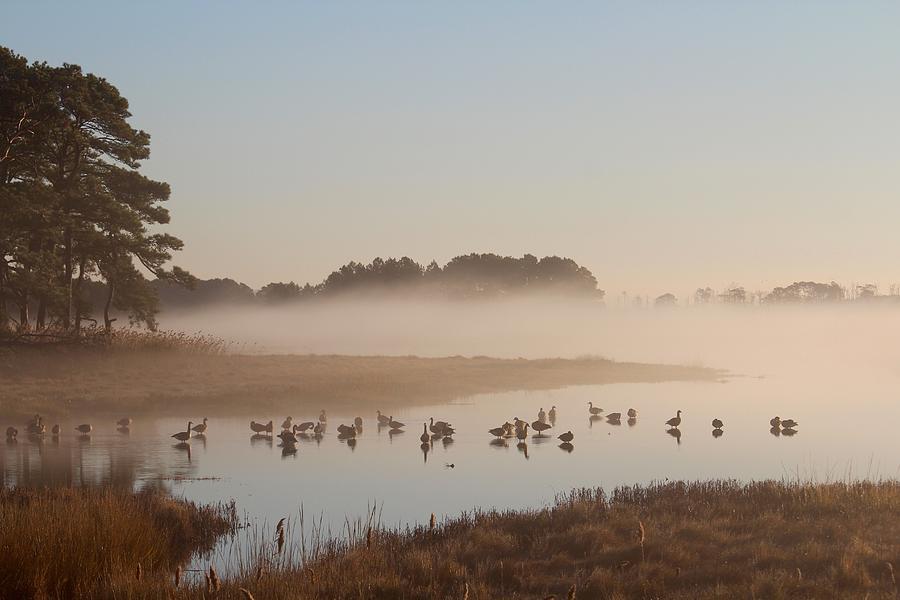Geese in the Mist at Dawn Photograph by Cyndi Monaghan