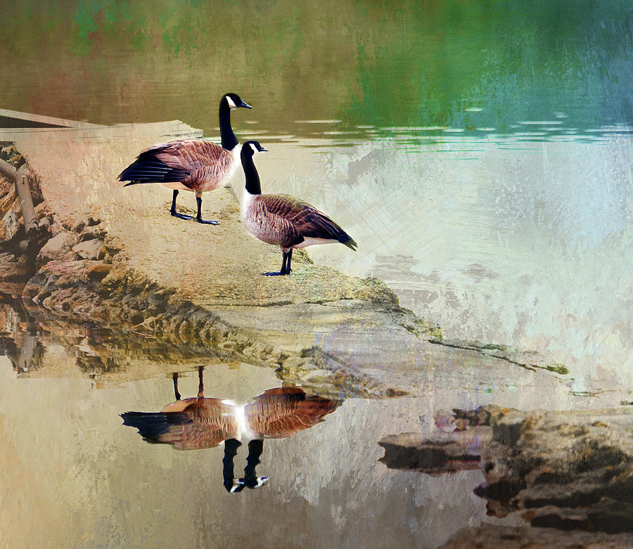 Geese Digital Art by Linda Cox