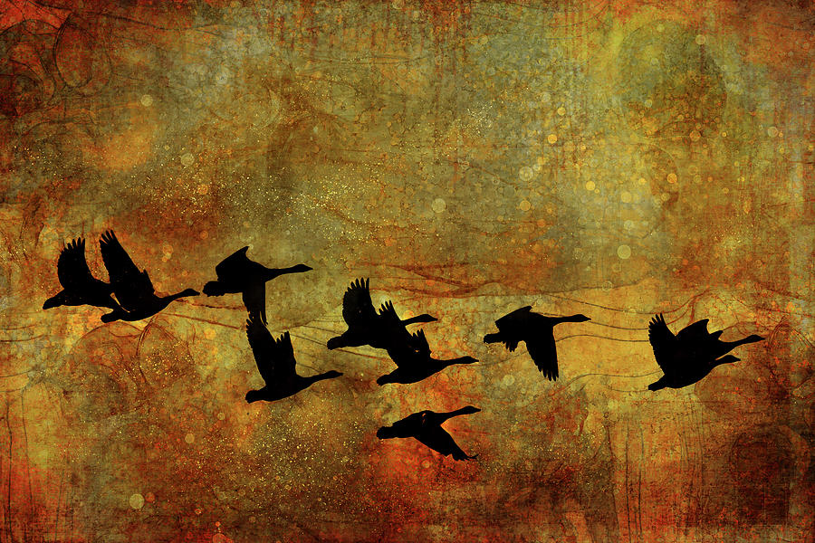 Geese on Gold Mixed Media by Peggy Collins