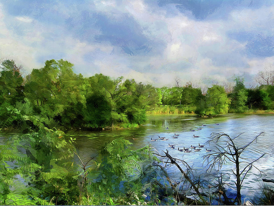 Impressionism Photograph - Geese On Lake Katherine by Cedric Hampton