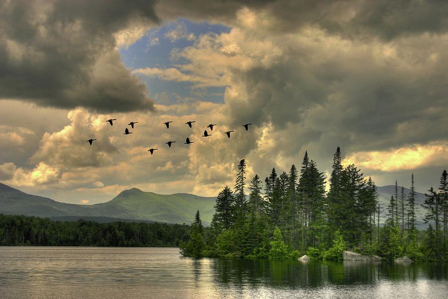 Geese Over Jericho Lake Photograph by Wayne King