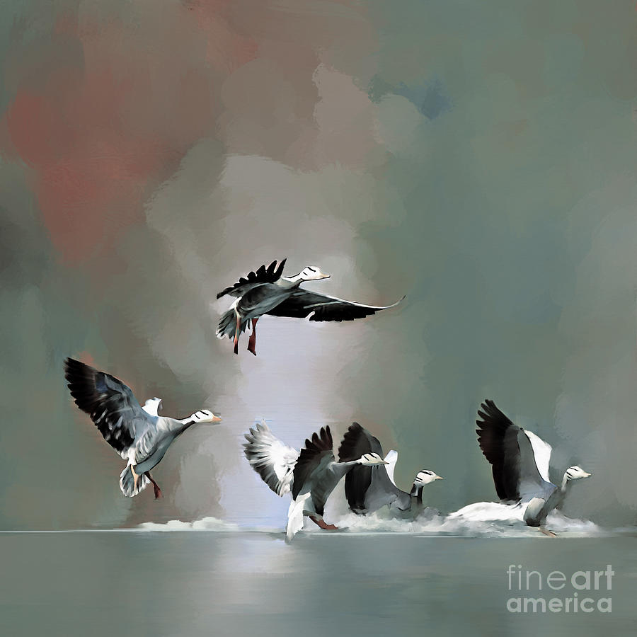 Duck Painting - Geeze by Gull G