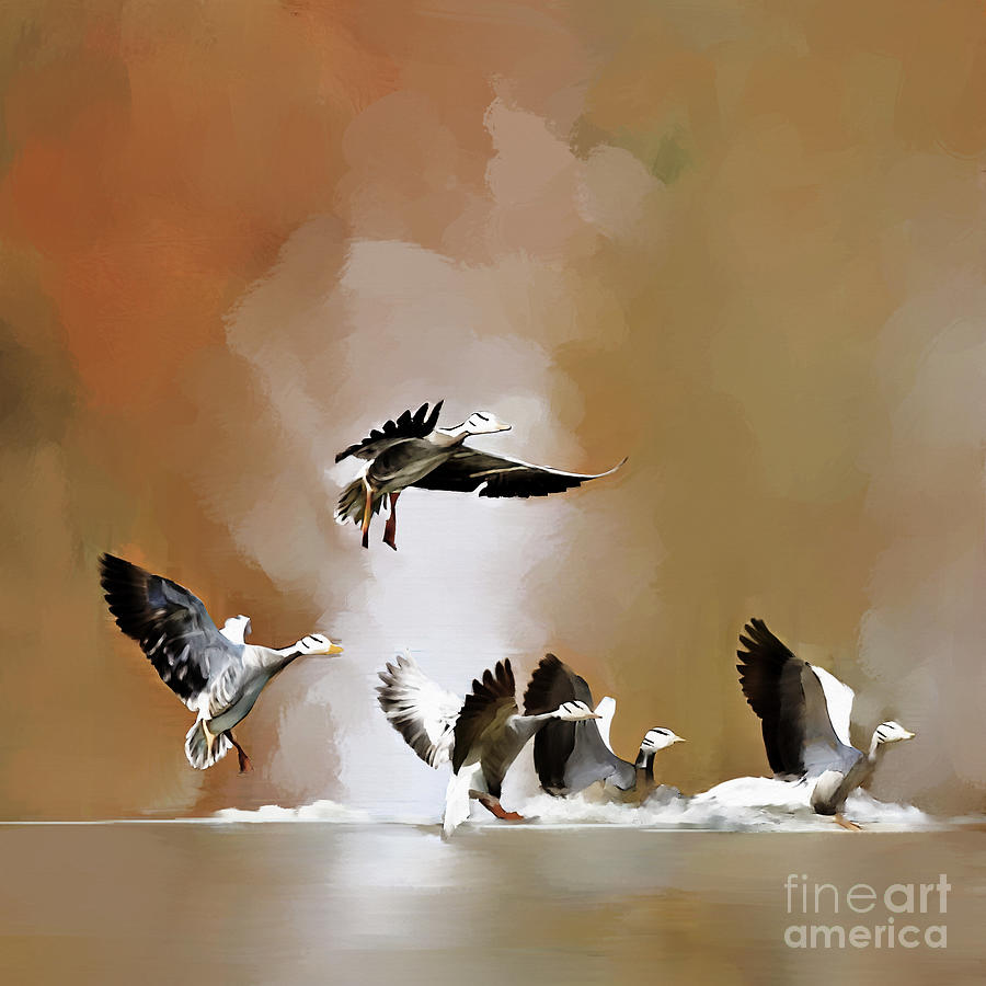 Duck Painting - Geeze Landing  by Gull G
