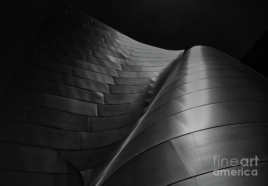 Gehry Architecture Walt Disney Concert Hall Photograph by Chuck Kuhn