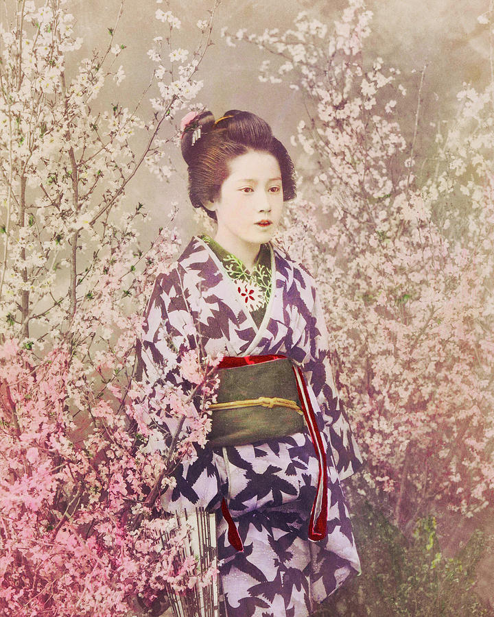 Geisha and Cherry Blossom Photograph by Ogawa Kazumasa Geisha and Cherry Blossom Photograph by Ogawa Kazumasa