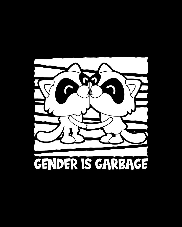 Gender Fluid Raccoon Non Binary Neutral Gender Is Garbage Digital Art
