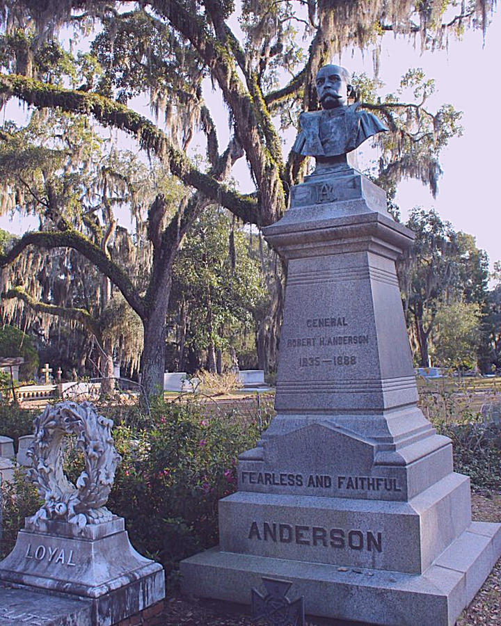 General Anderson Photograph by Lee Darnell