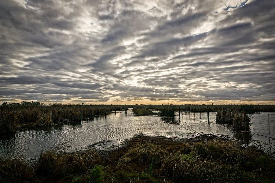 General view of a lagoon with a dramatic cloudy sky Photograph by Andres Ruffo