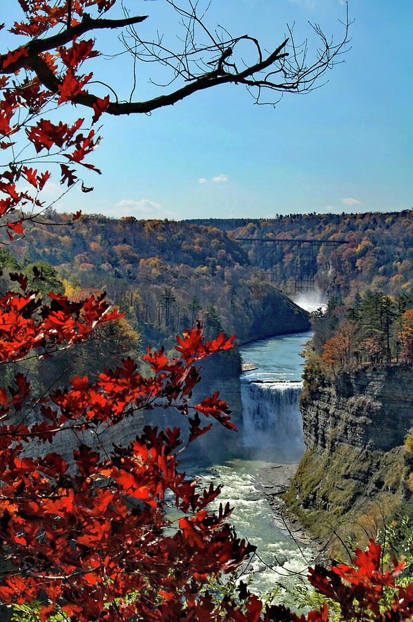 Genesee River Gorge Photograph by Ben Prepelka
