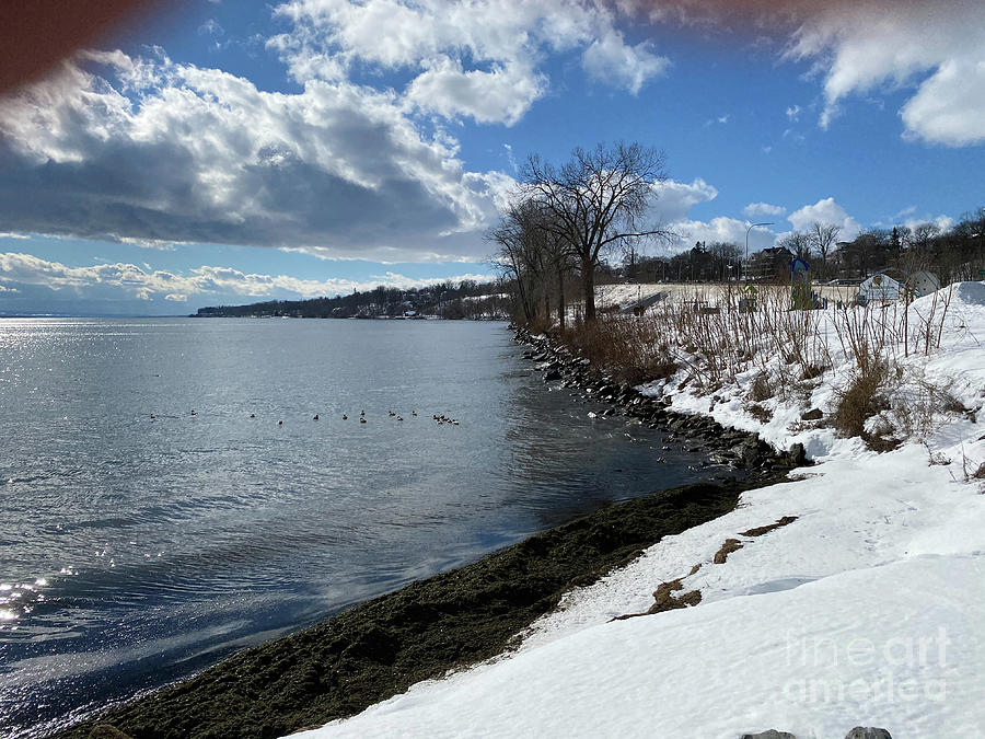 Geneva NY Winter Waterfront 2 Photograph by William Norton
