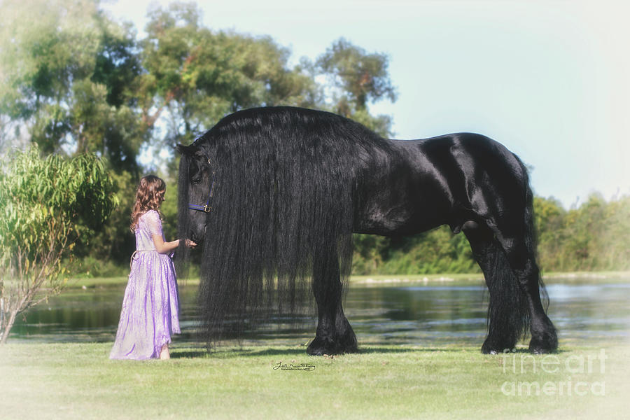 Gentle Giant  Photograph by Lori Ann  Thwing